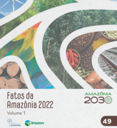 FatosAmazonia2022_FINAL_web