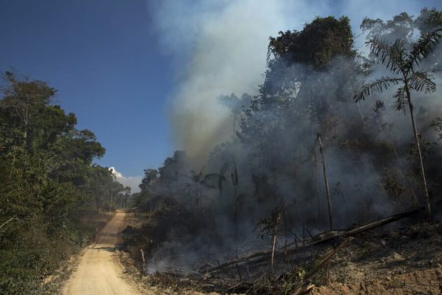 Floresta-queimando-600x400-1