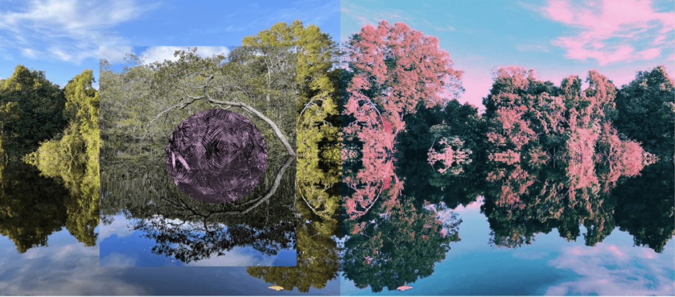 Movimentos-e-Paisagens-1200x528-1