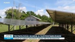 Negócios comunitários reduzem desmatamento em 28%