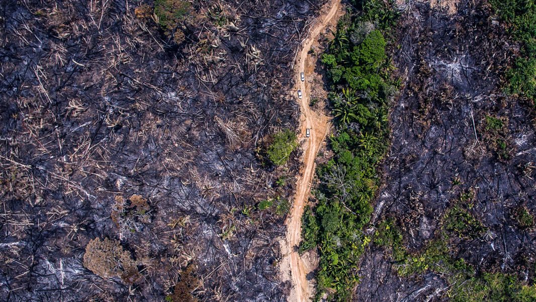 amazonia-jonne-roriz-2019-1