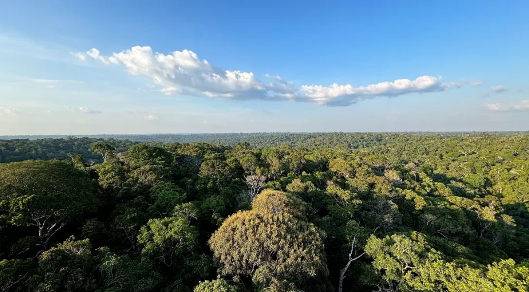amazonia
