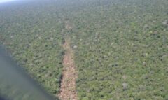 amazonia