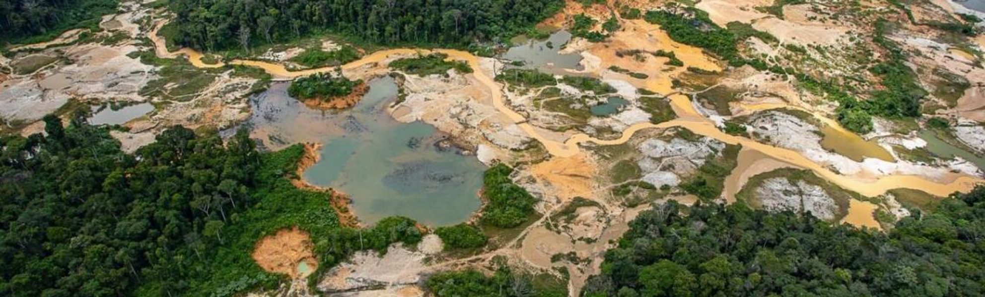 amazonia-real-3