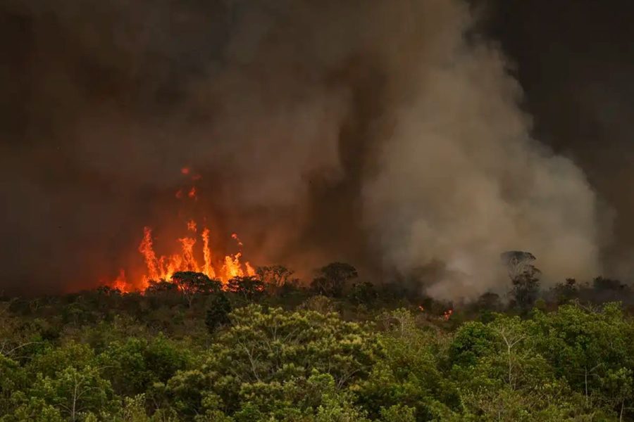 amazonia-teve-aumento-de-9-no-desmatamento-entre-agosto-de-2024-e-maio-de-2025