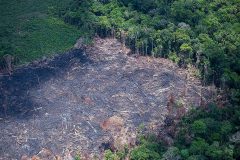 autorizacoes-oficiaismadeira-ilegal-amazonia