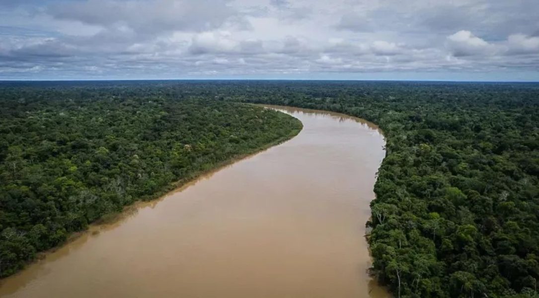 desaparecimento_amazonia-3