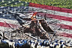 desmatamento-na-Amazonia-e-a-guerra-comercial-com-os-EUA