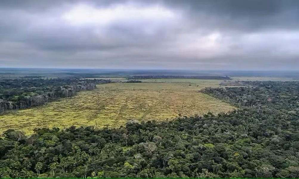 desmatamento-na-floresta-amazonica-policia-federal2