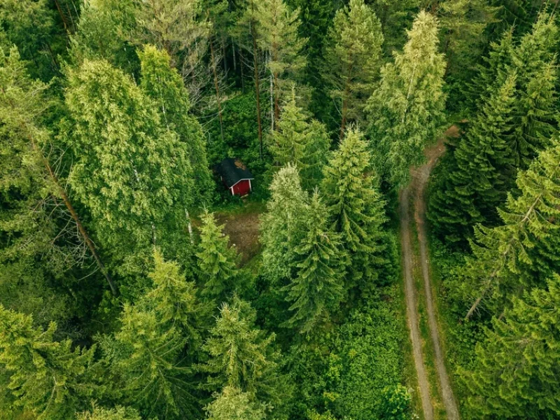 plantador-foto