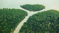 reforma-tributaria-protecao-ambiental-amazonia-848x477