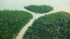 reforma-tributaria-protecao-ambiental-amazonia-848x477-1
