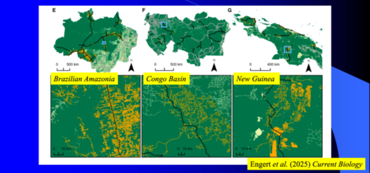slide_construcao_de_estradas_William_Laurance