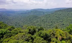 vice-presidente_da_republica_hamilton_mourao_carajas_missoes_diplomaticas_a_amazonia_oriental0809210165