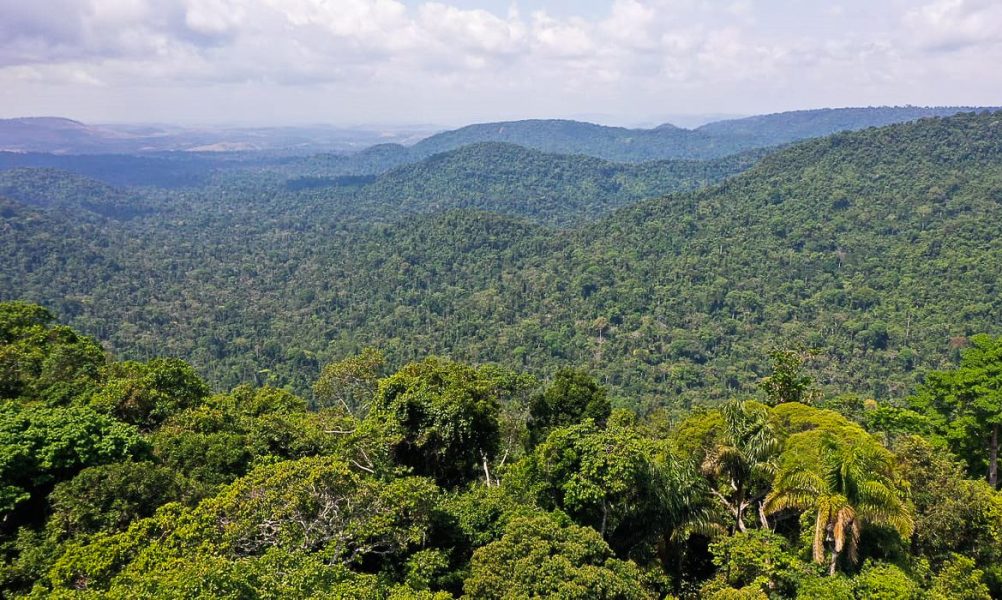 O vice-presidente da República, Hamilton Mourão, e os chefes de missões diplomáticas à Amazônia Oriental, fazem sobrevoo para a  sobre a Floresta Nacional de Carajás e visita à mineradora Vale.
