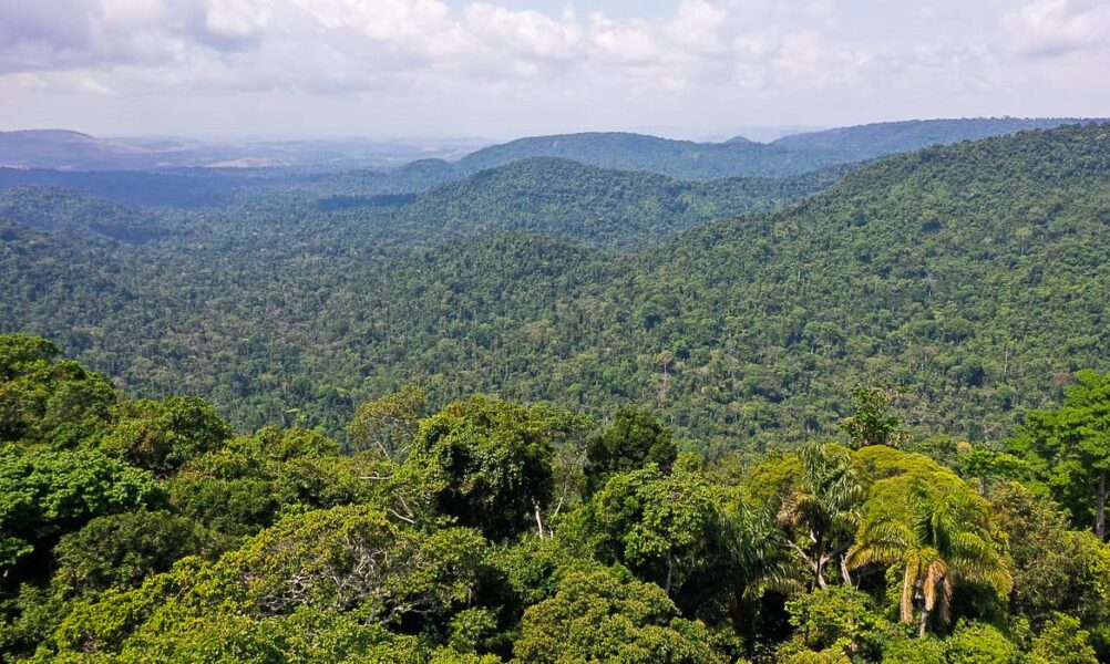 O vice-presidente da República, Hamilton Mourão, e os chefes de missões diplomáticas à Amazônia Oriental, fazem sobrevoo para a  sobre a Floresta Nacional de Carajás e visita à mineradora Vale.