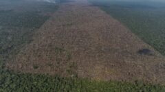 vista-aerea-de-uma-area-desmatada-na-amazonia-para-expansao-da-pecuaria-em-labrea-am-1632947992800_v2_900x506 Grande
