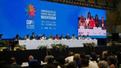 w4TM2uN2-COP16-High-Level-Segment-jpg Grande