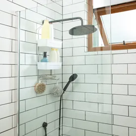 Organizadores de muro y regadera