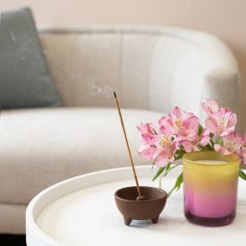 Inciensos y porta inciensos