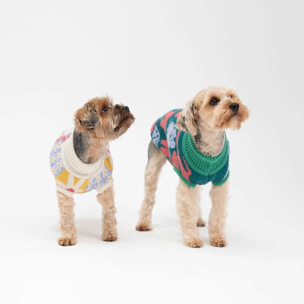 Ropa para perros