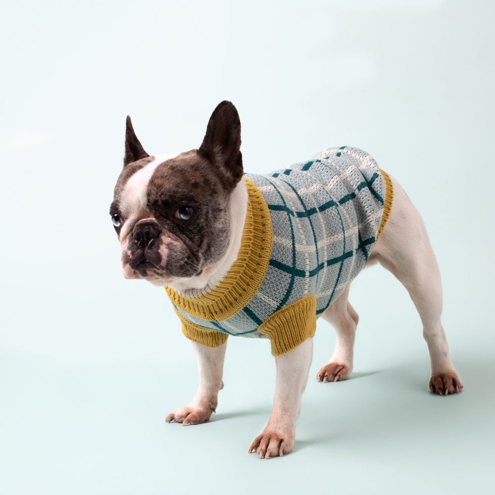 Chaleco tejido para mascota S/CH