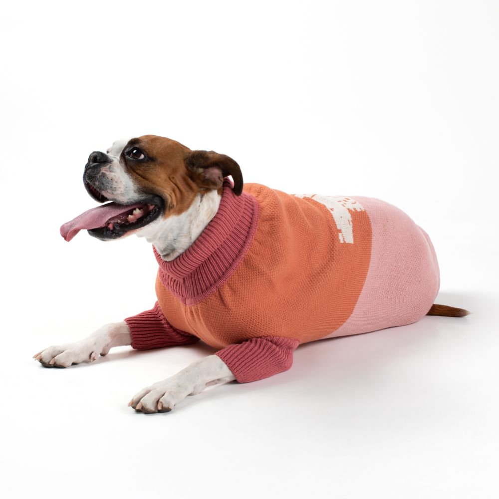 Chaleco tejido para mascota L/G