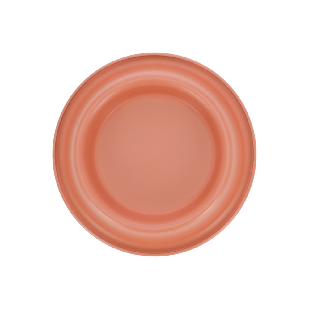 Plato Comida Acero para gato 170 ml