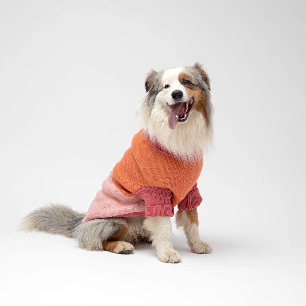 Chaleco tejido para mascota XL