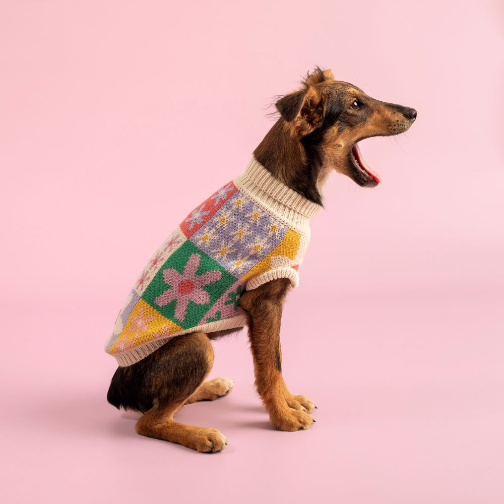 Chaleco tejido para mascota M