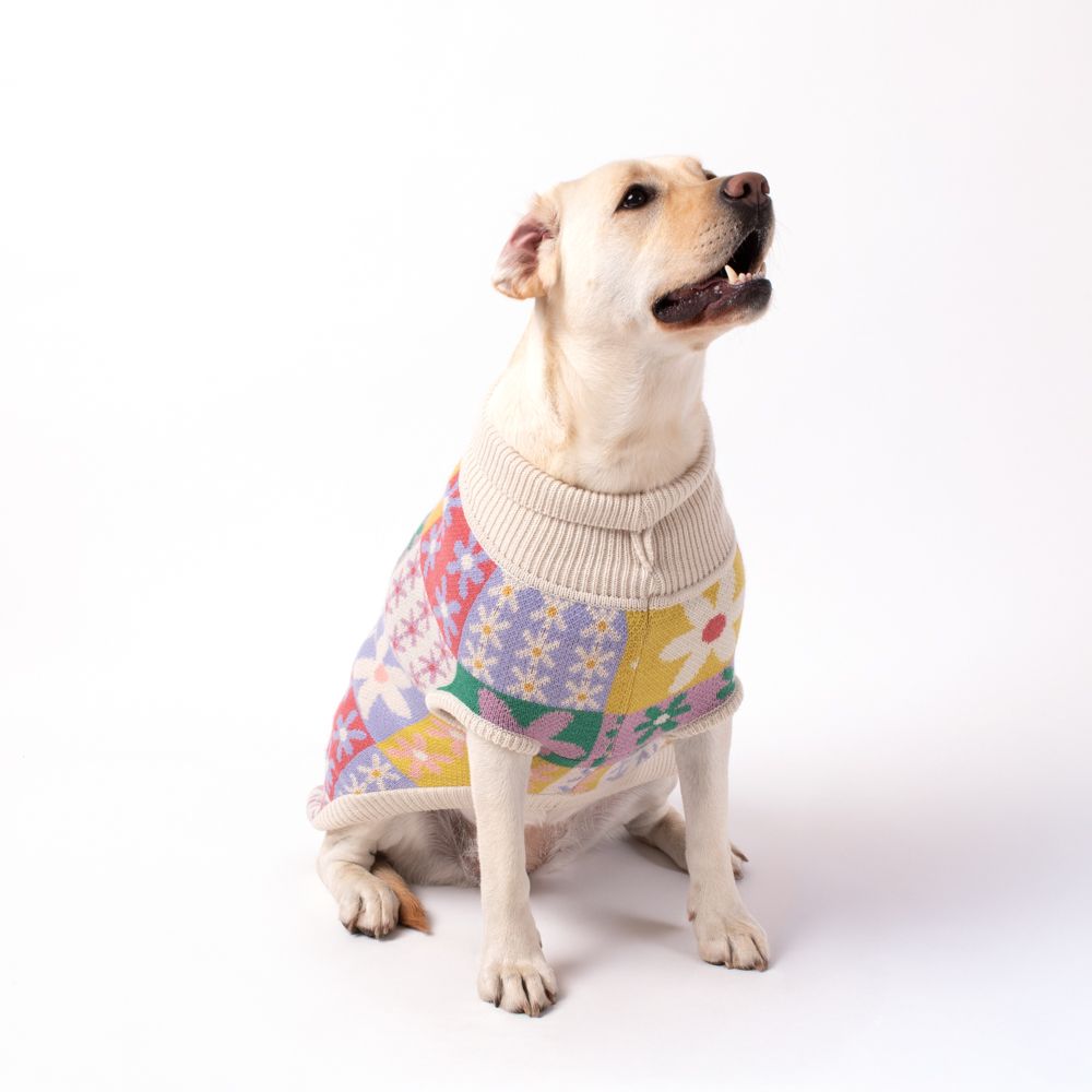 Chaleco tejido para mascota XL