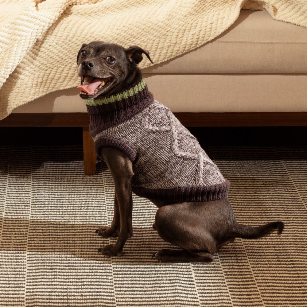 Chaleco tejido para mascota talla mediana