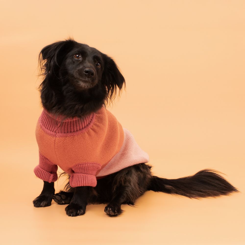 Chaleco tejido para mascota M