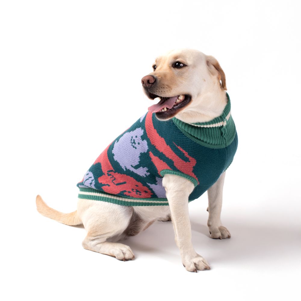 Chaleco tejido para mascota XL