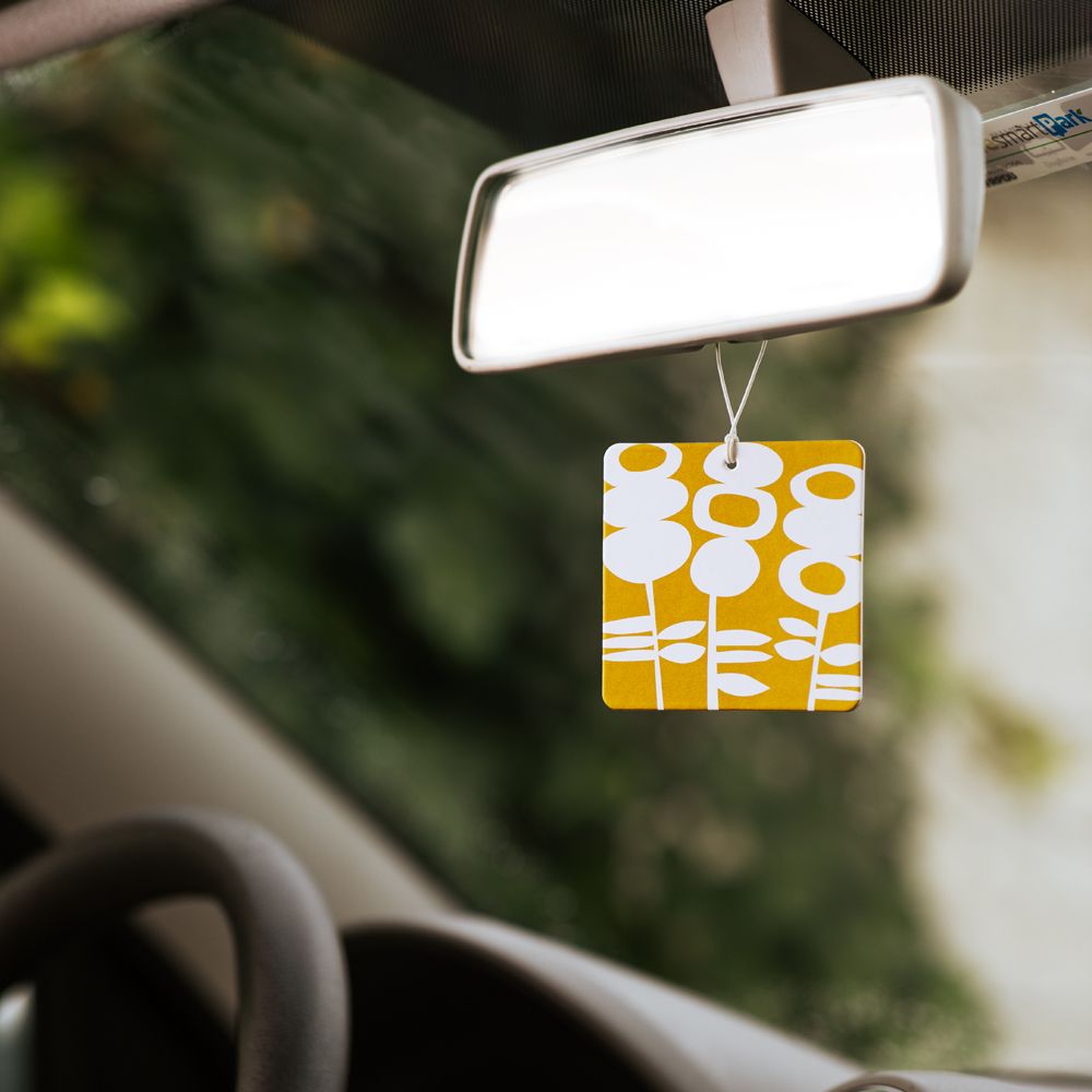 Aroma Colgante Olor a Vainilla y Mango 8 x 2 cm