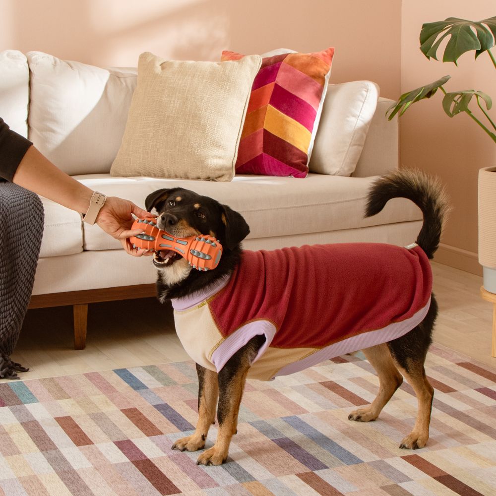 Chaleco polar para mascota talla grande