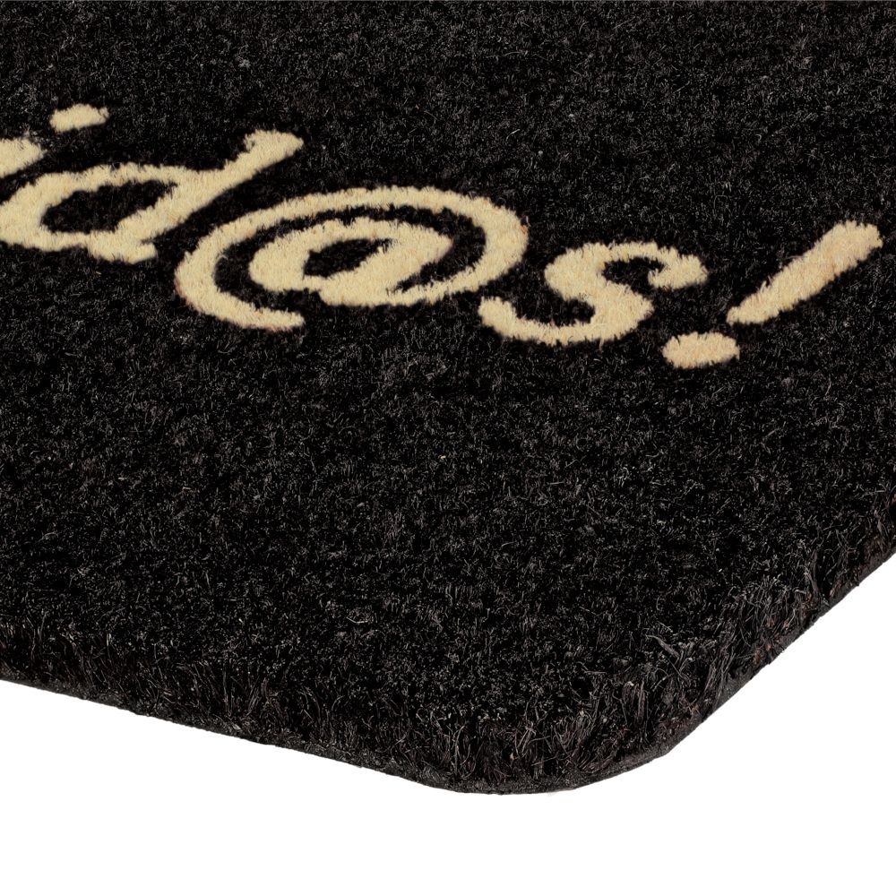 Limpiapiés de fibra natural 32x68 cm