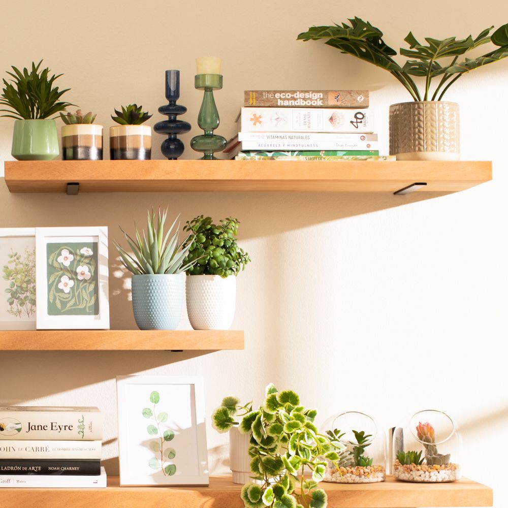 Planta con maceta 18x34 cm