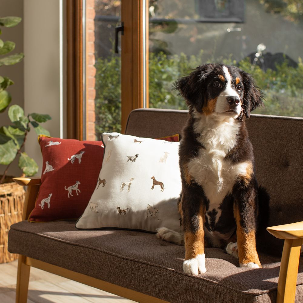 Cojín de algodón bordado 60x40 cm