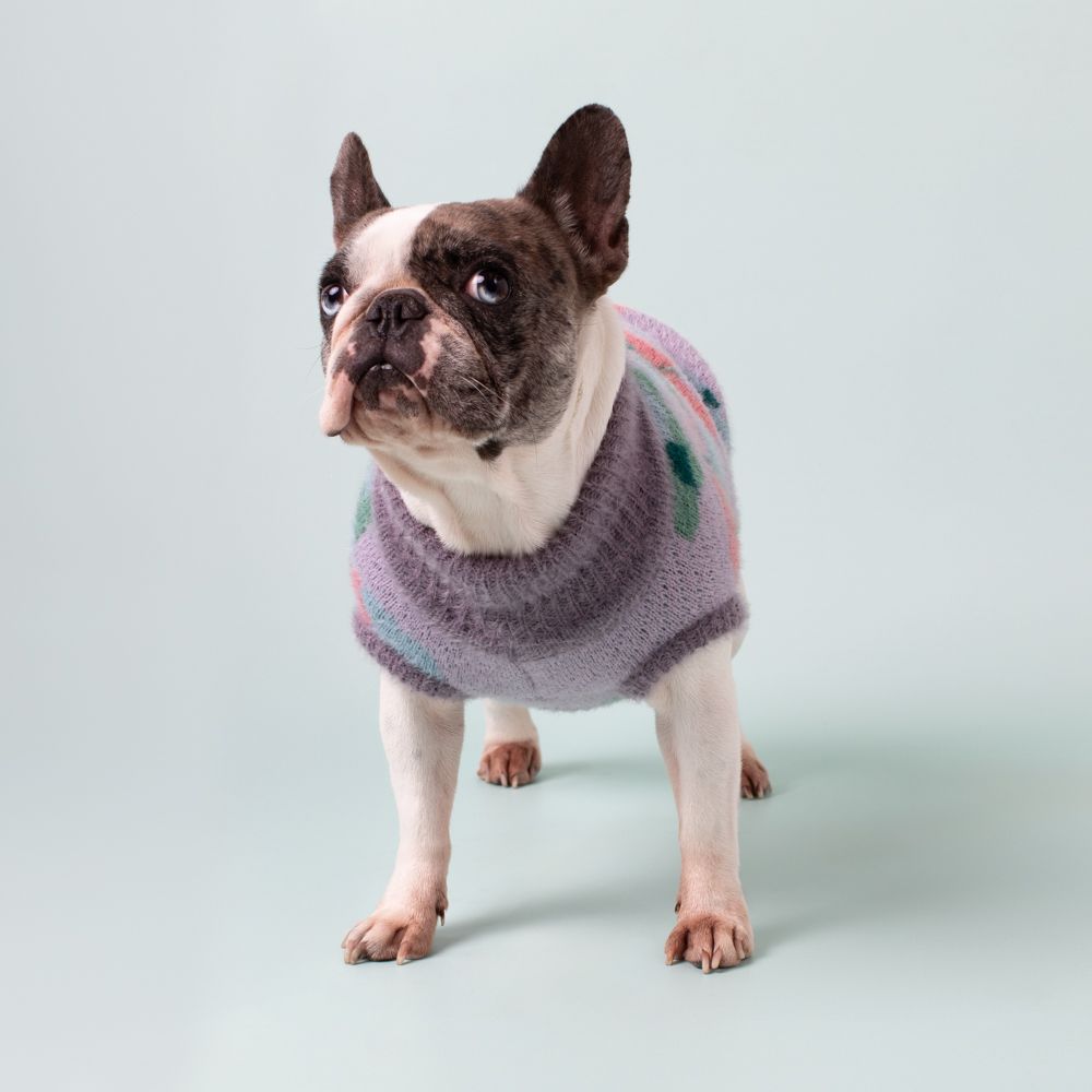 Chaleco tejido para mascota S/CH