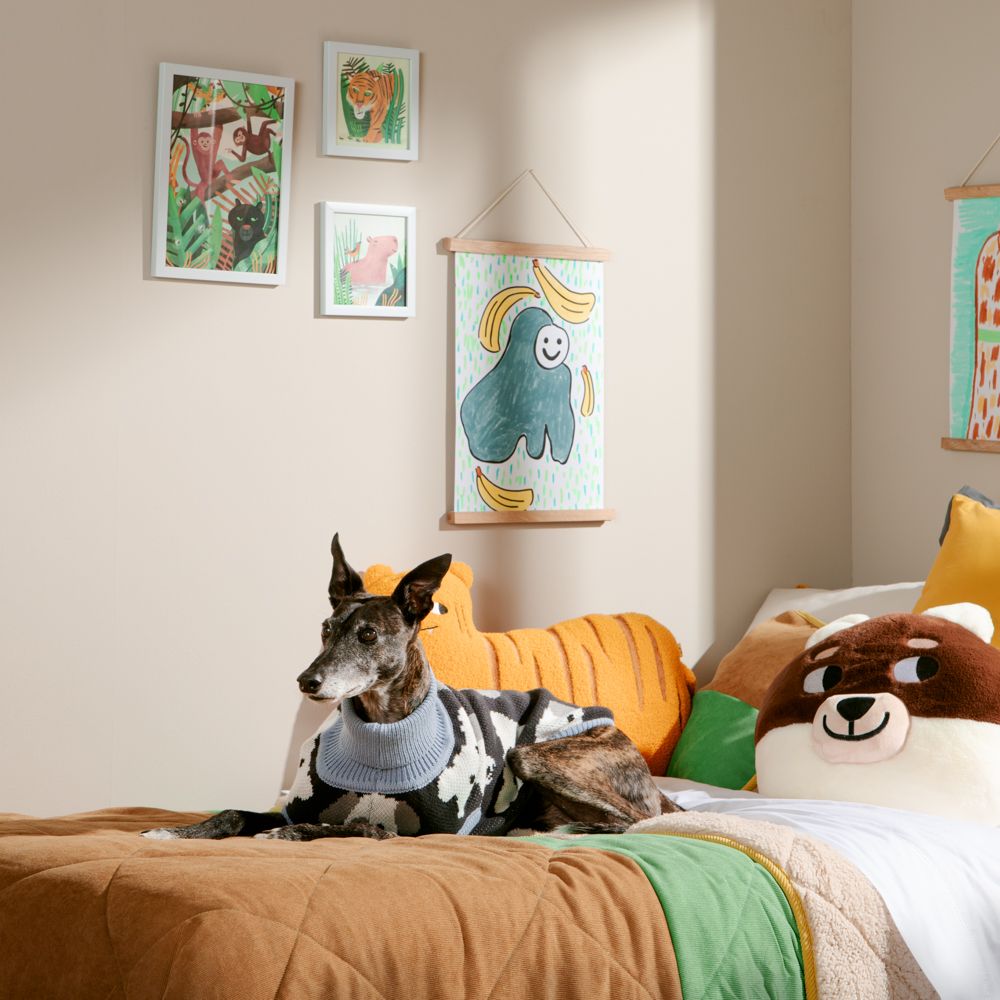 Chaleco tejido para mascota talla grande