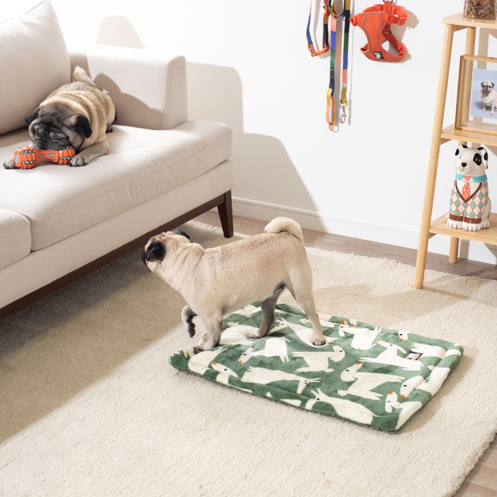 Tapete acolchada para mascotas con estampado 50x70 cm