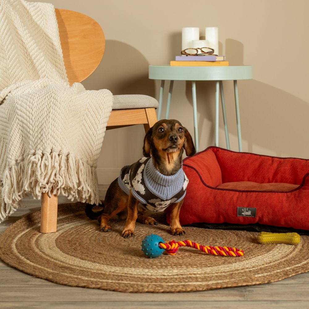 Chaleco tejido para mascota talla chica