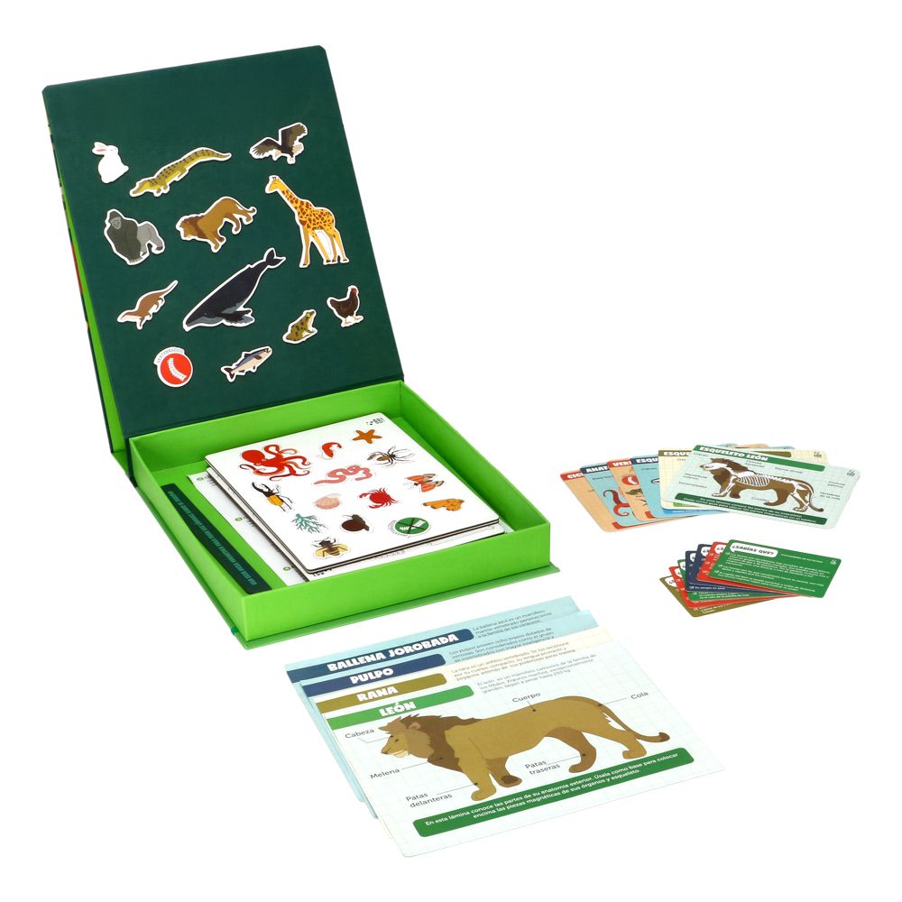 Kit juguete “Magnéticos Mundo Animal”