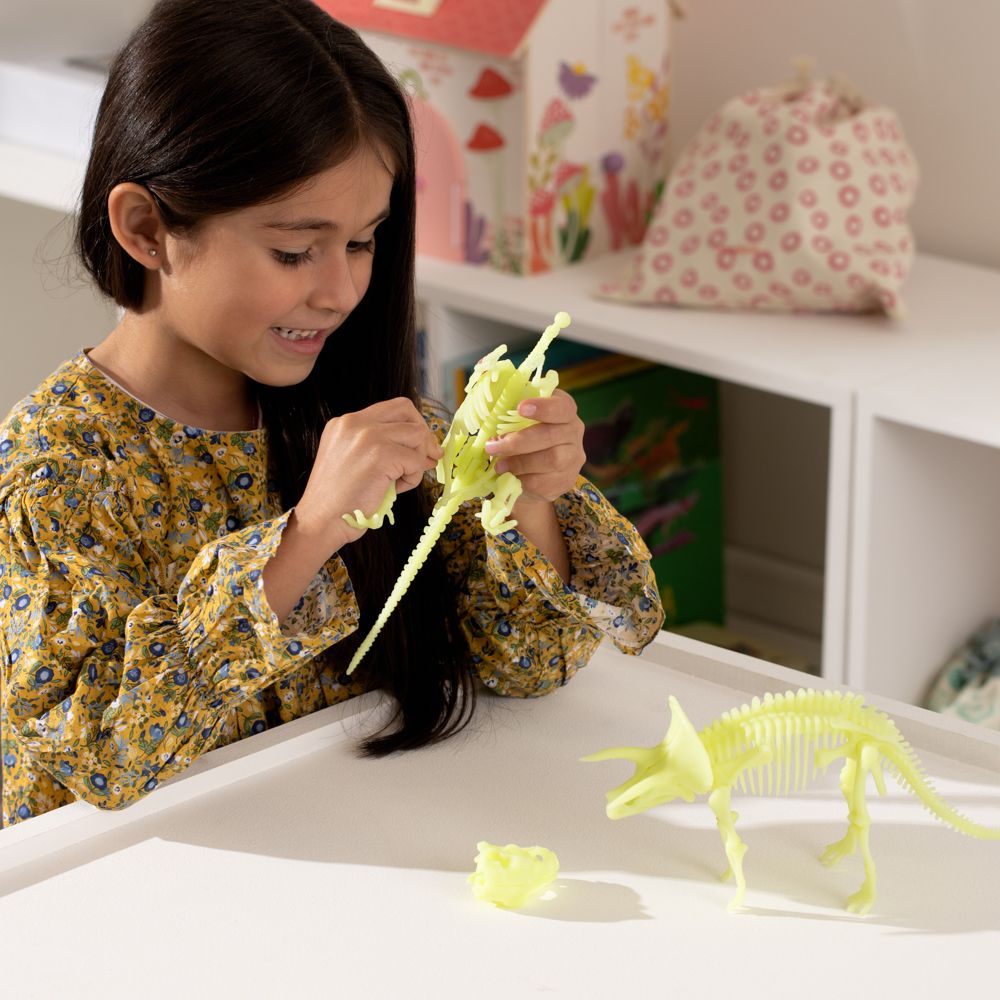 Esqueleto Dino 25x10 cm