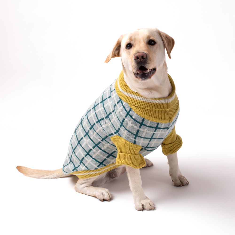 Chaleco tejido para mascota XL