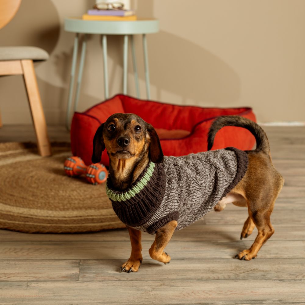 Chaleco tejido para mascota talla chica