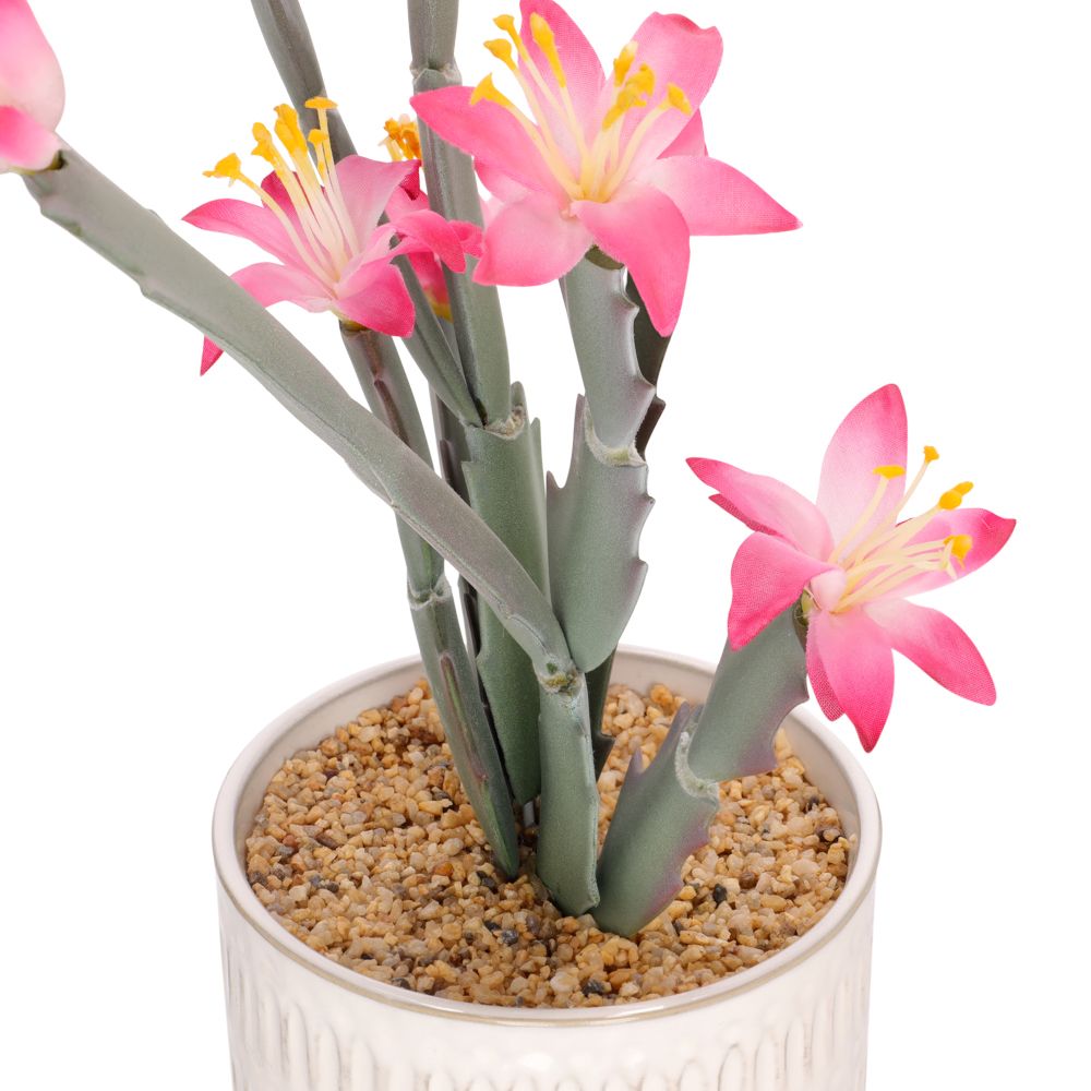 Maceta con cactus y flor 17.5x32 cm