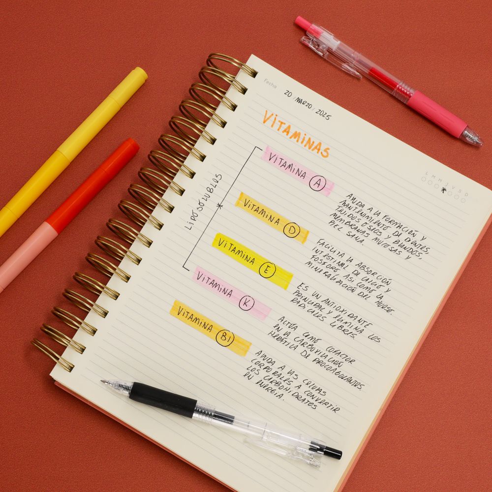 Cuaderno 1/2 oficio 18x3.5x24 cm