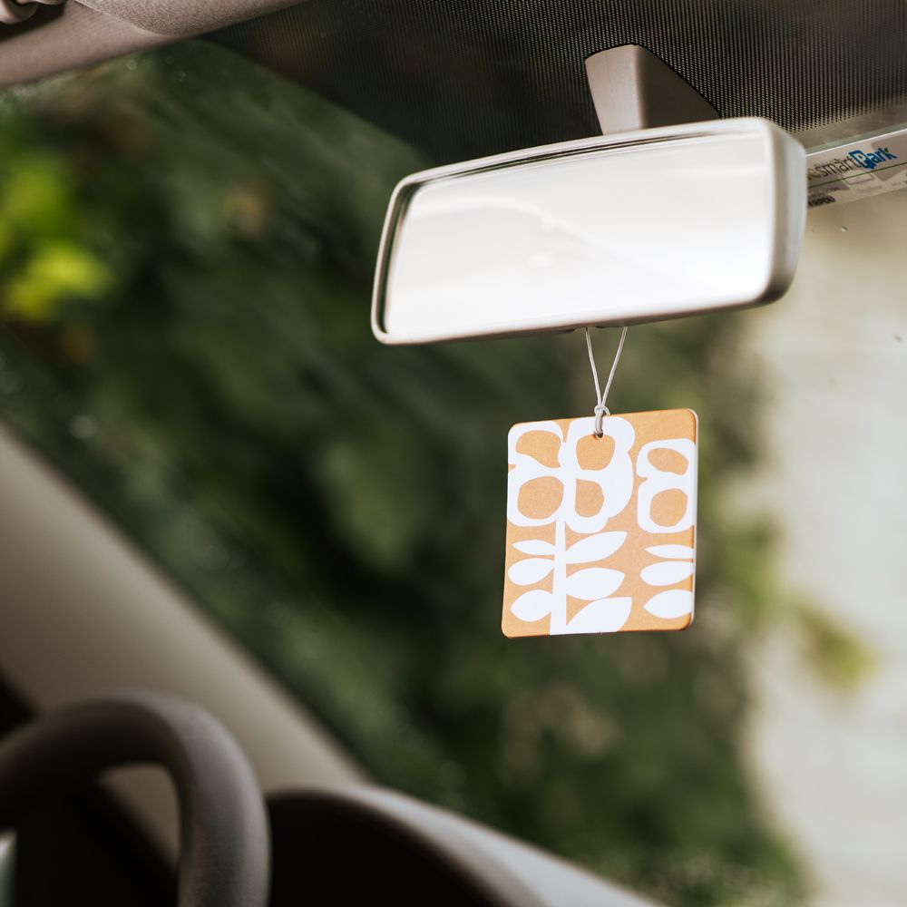 Aroma Colgante Olor a Fresia y Clementina 8 x 2 cm